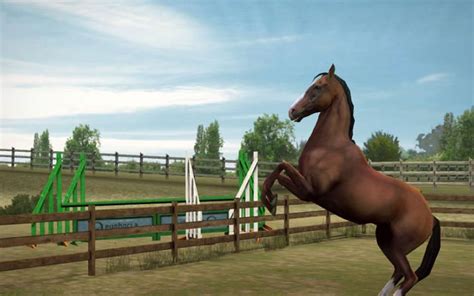 pferde reit spiele online kostenlos